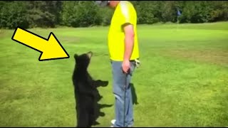 Everybody Left Speechless When A Wild Bear Cub Ran Towards A Golfer Just To Hug Him