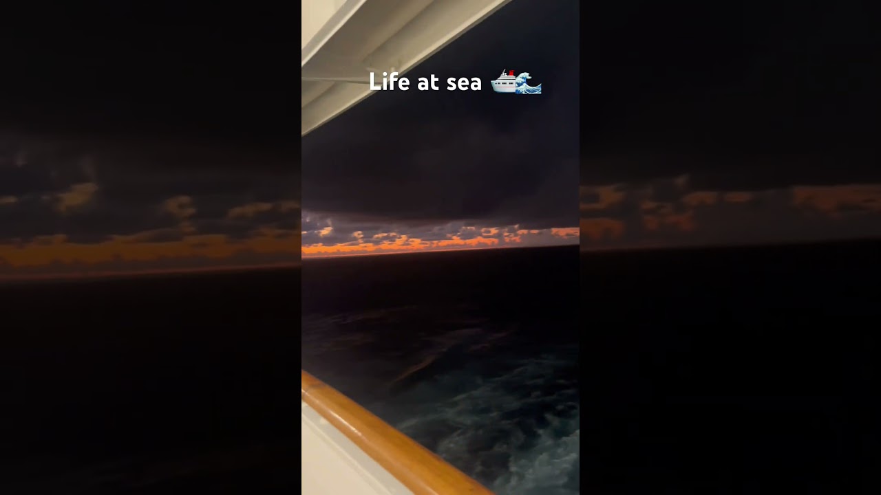Life at sea 🛳️🌊 #cruiseshiplife #shorts #ytshorts #cruiseship #carnivalcruise