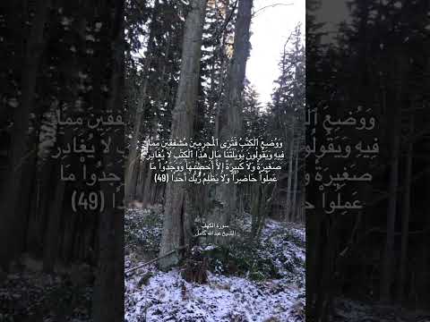 و و ض ع ٱل ك ت ب ف ت ر ى ٱل م ج ر م ين م ش ف ق ين م م ا ف يه 