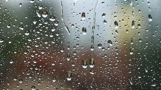 Tracking showers and thunderstorms