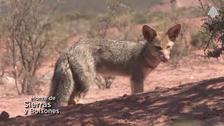 Parques Nacionales De Argentina