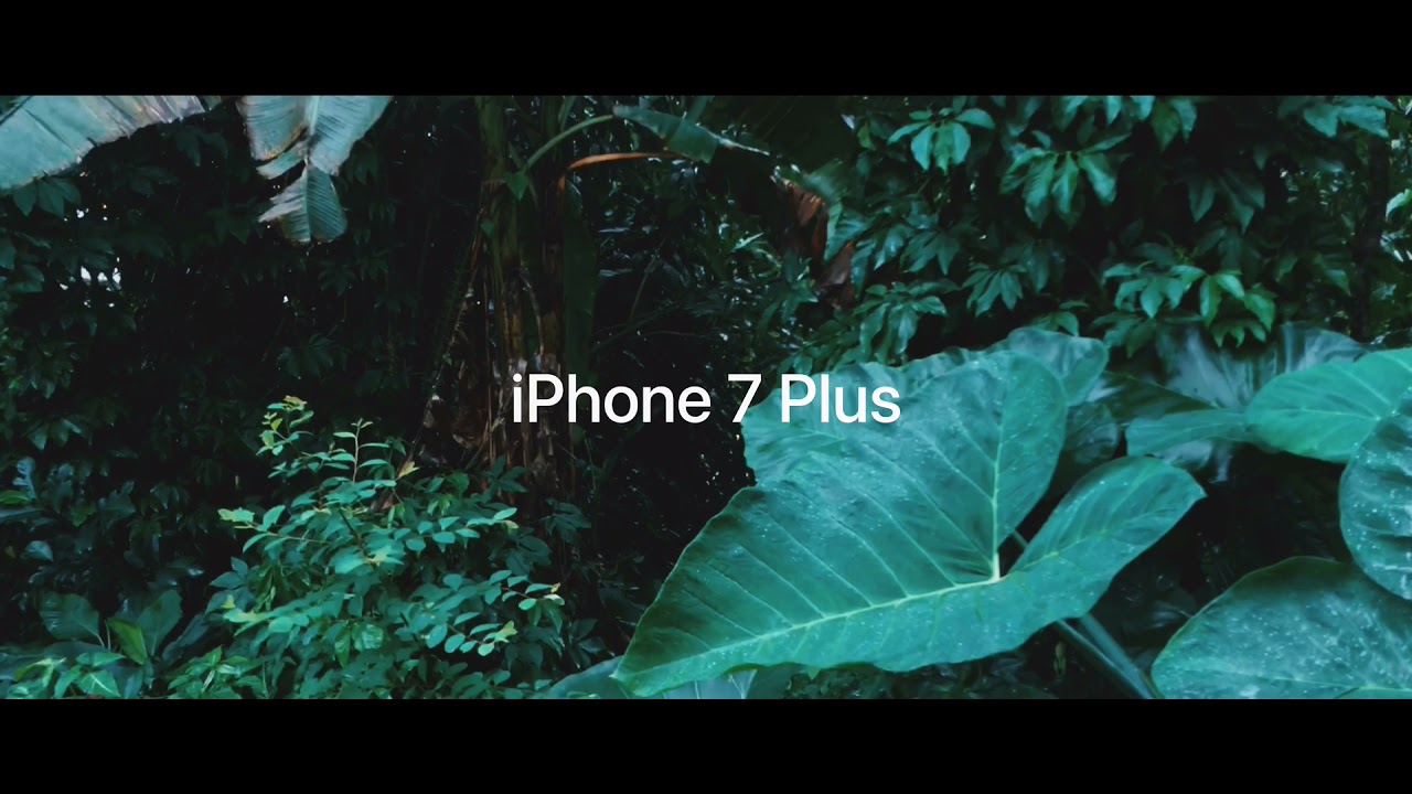 video test  | iPhone 7 Plus short film
