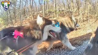 WooFDriving PA State Game Lands No.211 - 12.21.2019