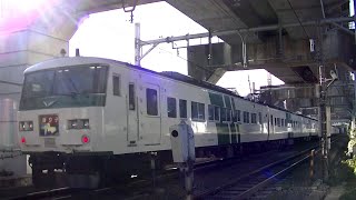 JR横須賀線西大井駅前踏切を通過するE217系&185系特急「踊り子」