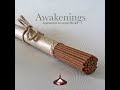 Awakenings Agarwood Incense Sticks High Quality Natural Vietnam Agarwood Oud Incense Sticks 