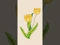 How to draw tulip drawing #art #viral #shorts #tulipdrawing #viral