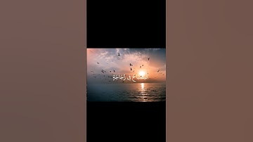 {الله نور السموات والأرض} قراءة مريحة للقلب القارئ شريف مصطفى