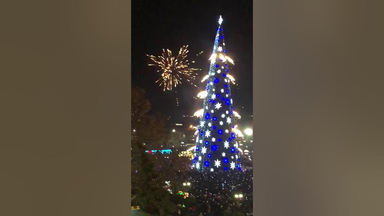 Алушта елка 2020