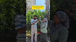 Kadınların Hepsi Aynı Şfet Im Şfetteyiz