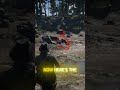 You Probably Missed INFINITE Meteorites in Red Dead Redemption 2