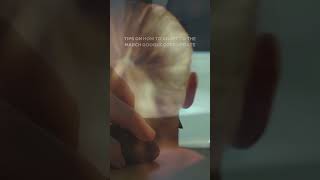 5 Tips On How To Adapt To The March Google Core Update