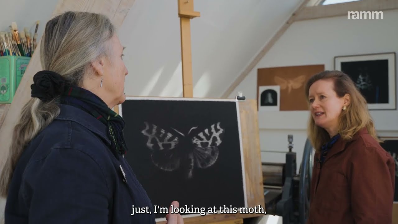 Sarah Gillespie - 'Wild' commission for RAMM