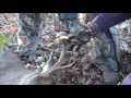 jenks 2016 buck