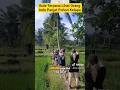 Bule Terpana Lihat Orang Indo Panjat Pohon Kelapa #reaction #indonesia #viralvideo #youtubeshorts