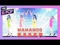 데뷔 무대 쉿 마마무한테 관심 있으세요 MAMAMOO Mr 애매모호