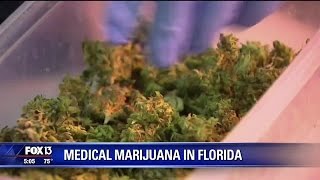 Medical marijuana 'factory' to begin production