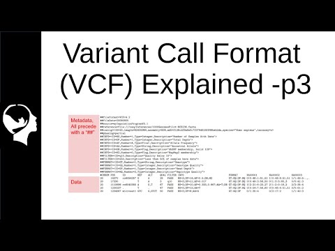 Understanding VCF file | Variant Call Format Part 3/3