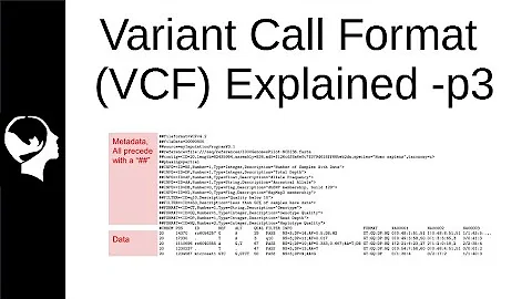 Understanding VCF file | Variant Call Format Part 3/3