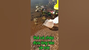 #Shorts thả cá chép đưa ông táo về chầu trời