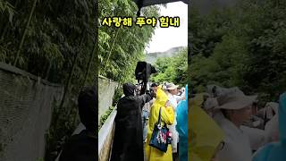 26.7.17 우래기 잘한다💕🙏🤩