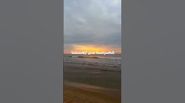 القارئ : محمد ايوب