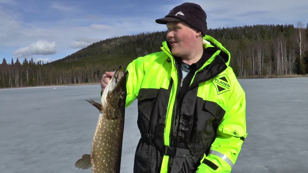 Galet gäddfiske med JOFIH-Metoden! Isfiske på vårat vis Del 5. Säsongsavslutning. Crazy pikefishing.