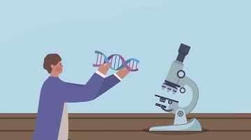 Gut-Brain Axis: Linking Parkinson’s and IBD