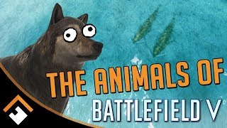 WWII ZOO: Every Animal in Battlefield V screenshot 4