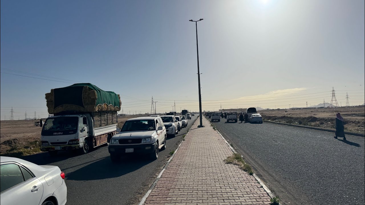 سوق حائل 🐏أسعار الحلال يوم السبت 🐏🔥🔥