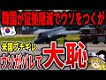 韓国がF-35を胴体着陸させた理由がヤバいww【ゆっくり解説】