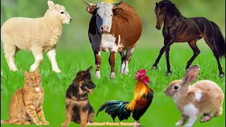 Farm Animal Sounds: Elephant, Horse, Chicken, Cow, Dog, Cat, Sheep - Animal Sounds