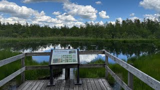 A Volo Bog Geocaching Adventure!