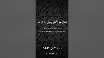 سألقي في قلوب الذين كفروا الرعب | من سورة الأنفال | القارئ الشيخ محمد اللحيدان
