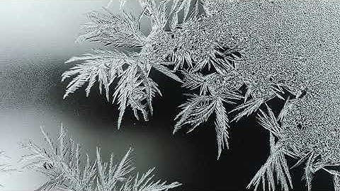 Нећеш зажалити - Nećeš zažaliti