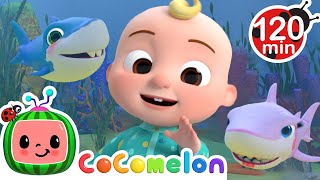 JJ's Baby Shark Music and Dance Time! | Animals for Kids | Funny Cartoons | Learn about Animals