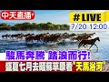 中天直播 LIVE 駿馬奔騰 踏浪而行 盛夏七月去昭蘇草原看 天馬浴河 20250720 全球大視野Global Vision 中天直播 LIVE 駿馬奔騰 踏浪而行 盛夏七月去昭蘇草原看 天馬浴河 20250720 全球大視野Global Vision