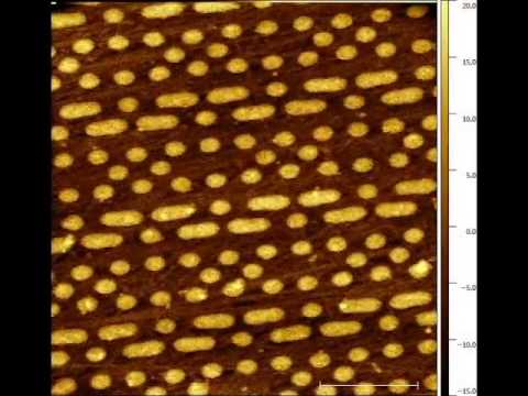 72 hours of continuous scanning with the nGauge AFM — ICSPI