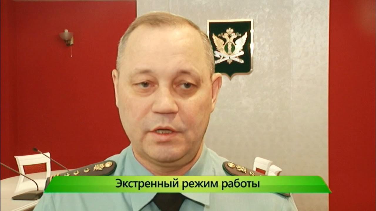 Приставы маркс график