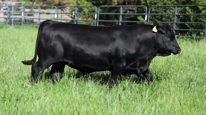 POSS WINCHESTER 2022