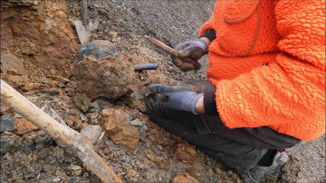 Fossil hunt in the Jurassic ammonites from the Bradfordensis/Concavum