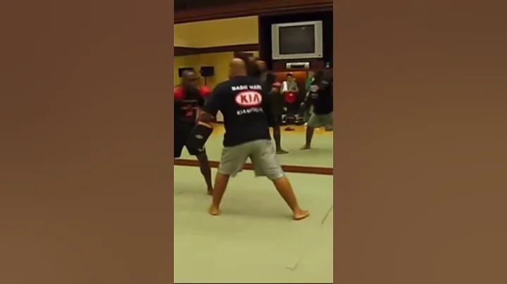 Melvin Manhoef 2009 Blasting Pads the Mike Passenier