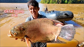 Một Ngày Đi Câu Cá Cùng Tem Sang Vlog Bắt Gặp Con Cá Khủng 