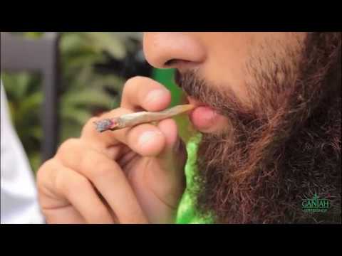 LEGALIZE GANJAH