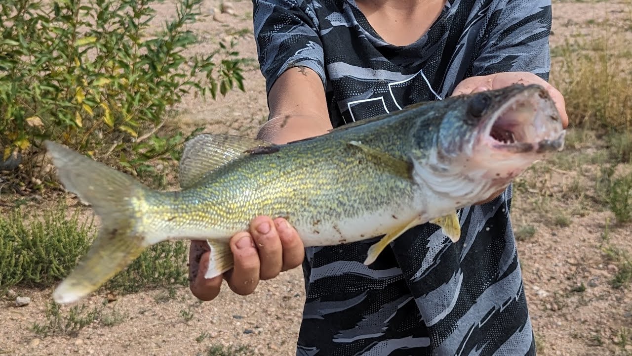 bass fishing did not go as expected 😅
