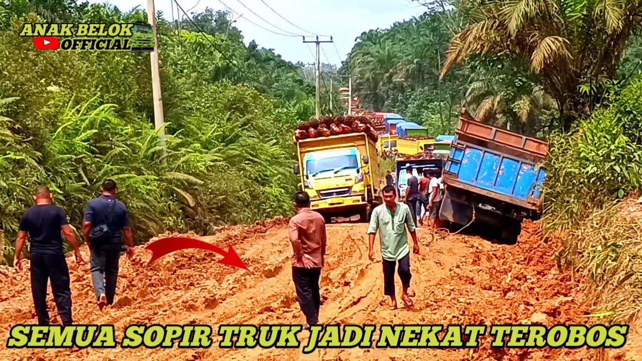 Кажется, не всем водителям грузовиков под силу выбраться из тупика в грязевой луже.