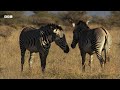 A Journey Through the World's Deserts | BBC Earth