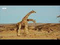 A Journey Through the World's Deserts | BBC Earth