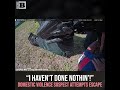 "I Haven't Done Nothin'!" Domestic Violence Suspect Attempts Escape