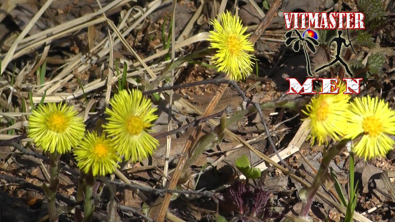 Берегите природу люди!!! - YouTube