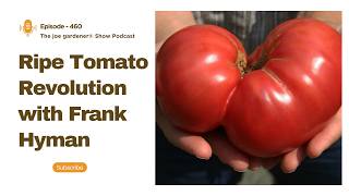 The Ripe Tomato Revolution: What Most Gardeners Get Wrong About Tomatoes